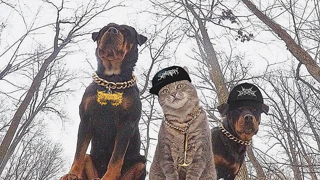 SlamCat Armyのバナー