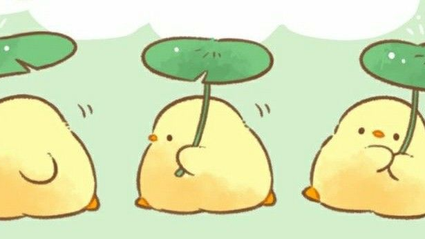 Holys Ducklings