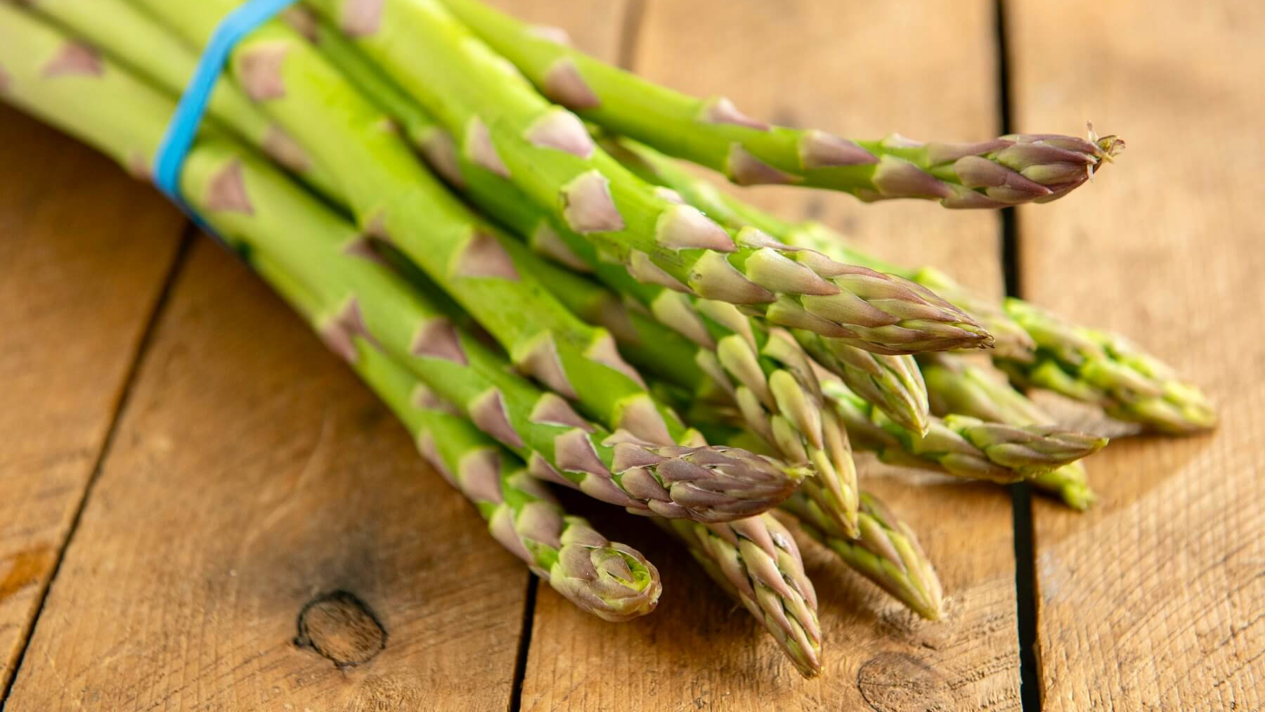 Asparagus Armyのバナー
