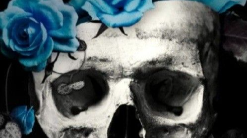 SkullieBlue's Comfort Zoneのバナー