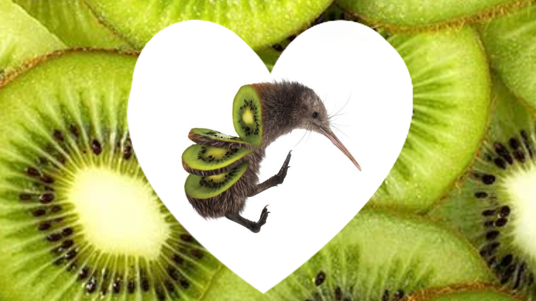 Kiwi Bug's Glipsのバナー