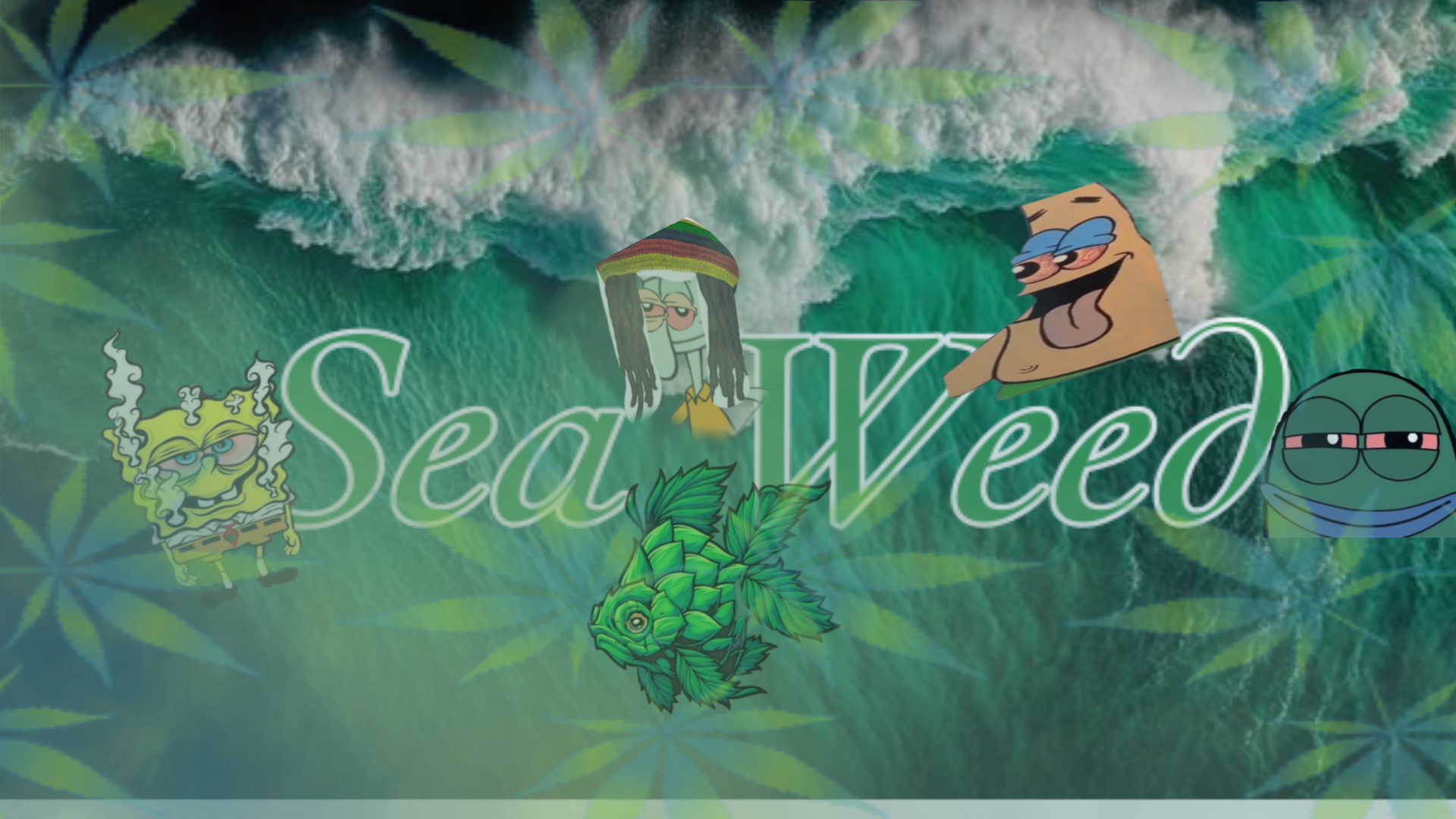 SEA WEED