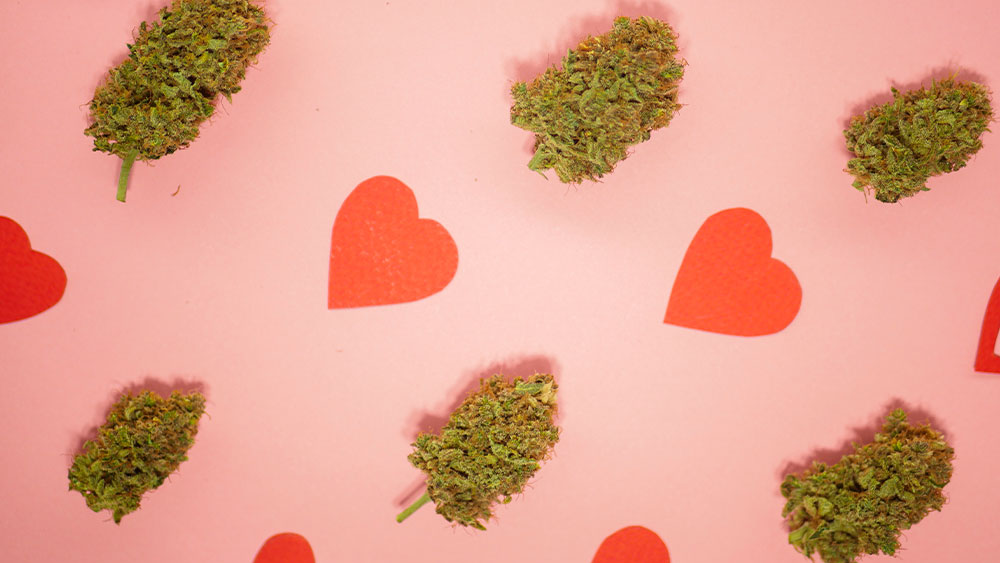 Did Someone Say Weed?