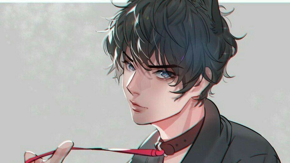 GimmeANekoBoyのバナー