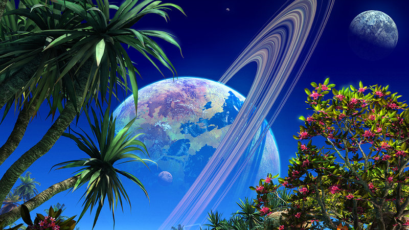Polluted Paradiseのバナー