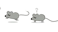 Mousie's World