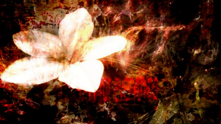 ~୨୧~のバナー