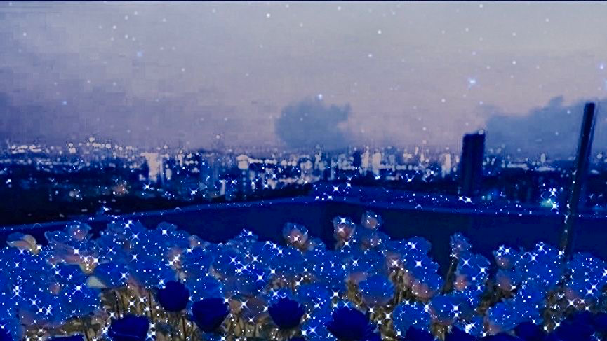 Blue rosesのバナー