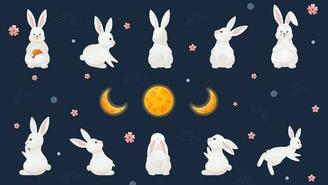 TheCozyBunny
