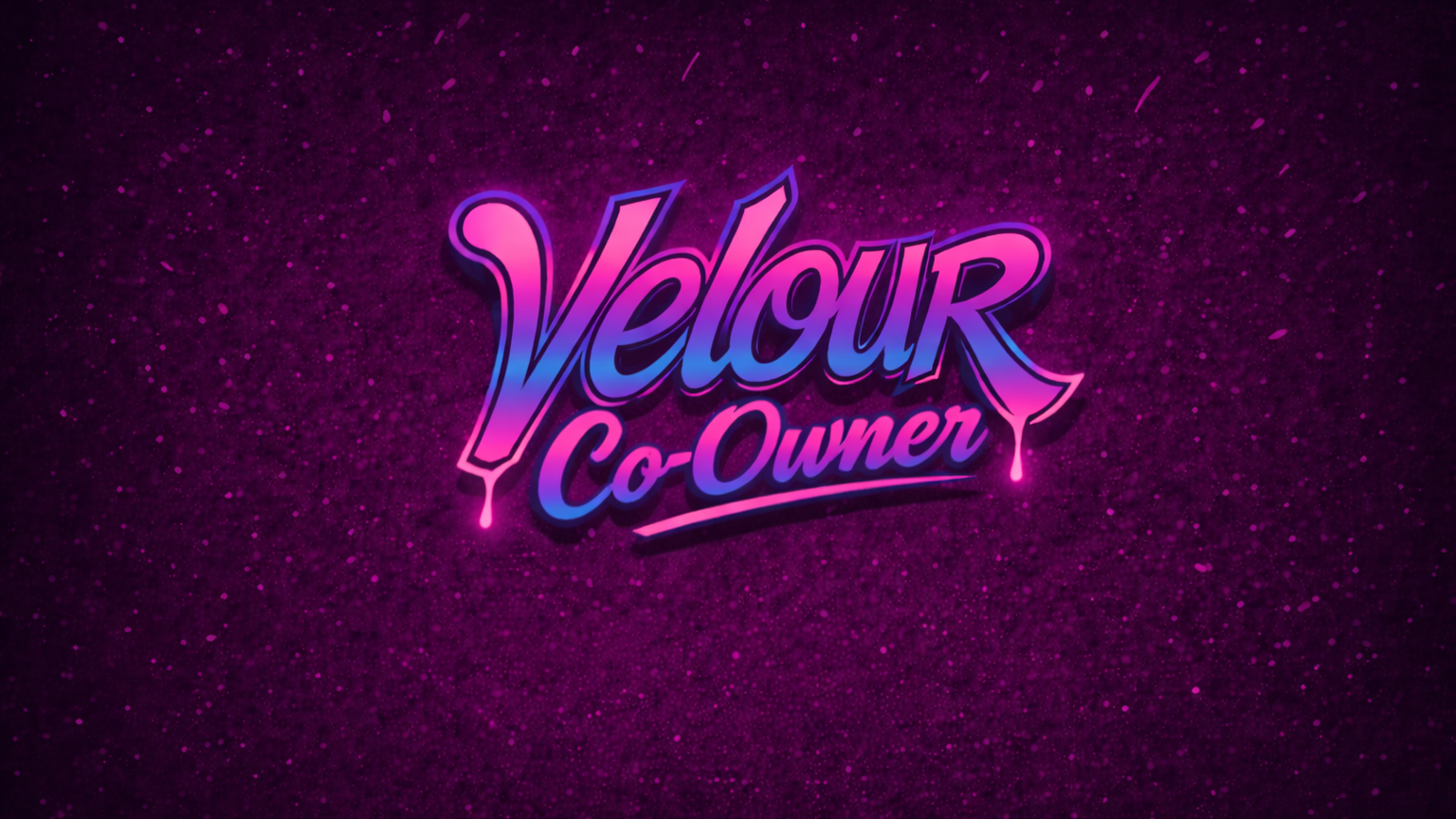 Velour Co Ownerのバナー