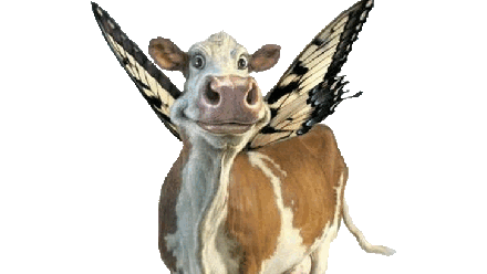 Whimsical Cowsのバナー