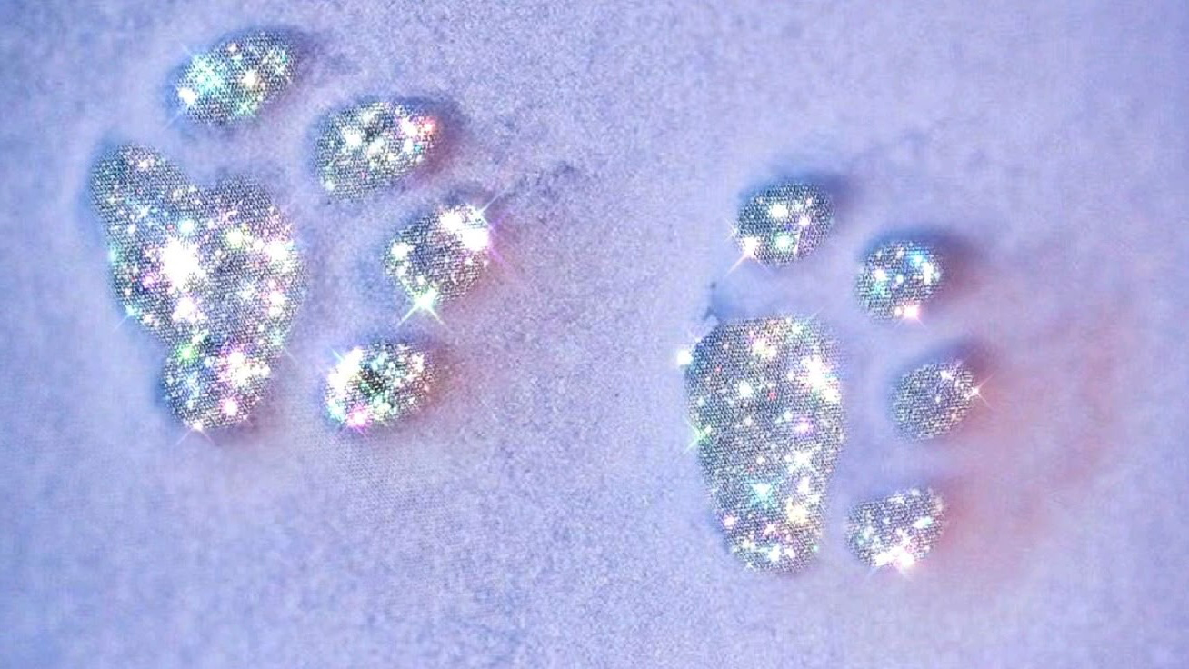 Sparkle Pets