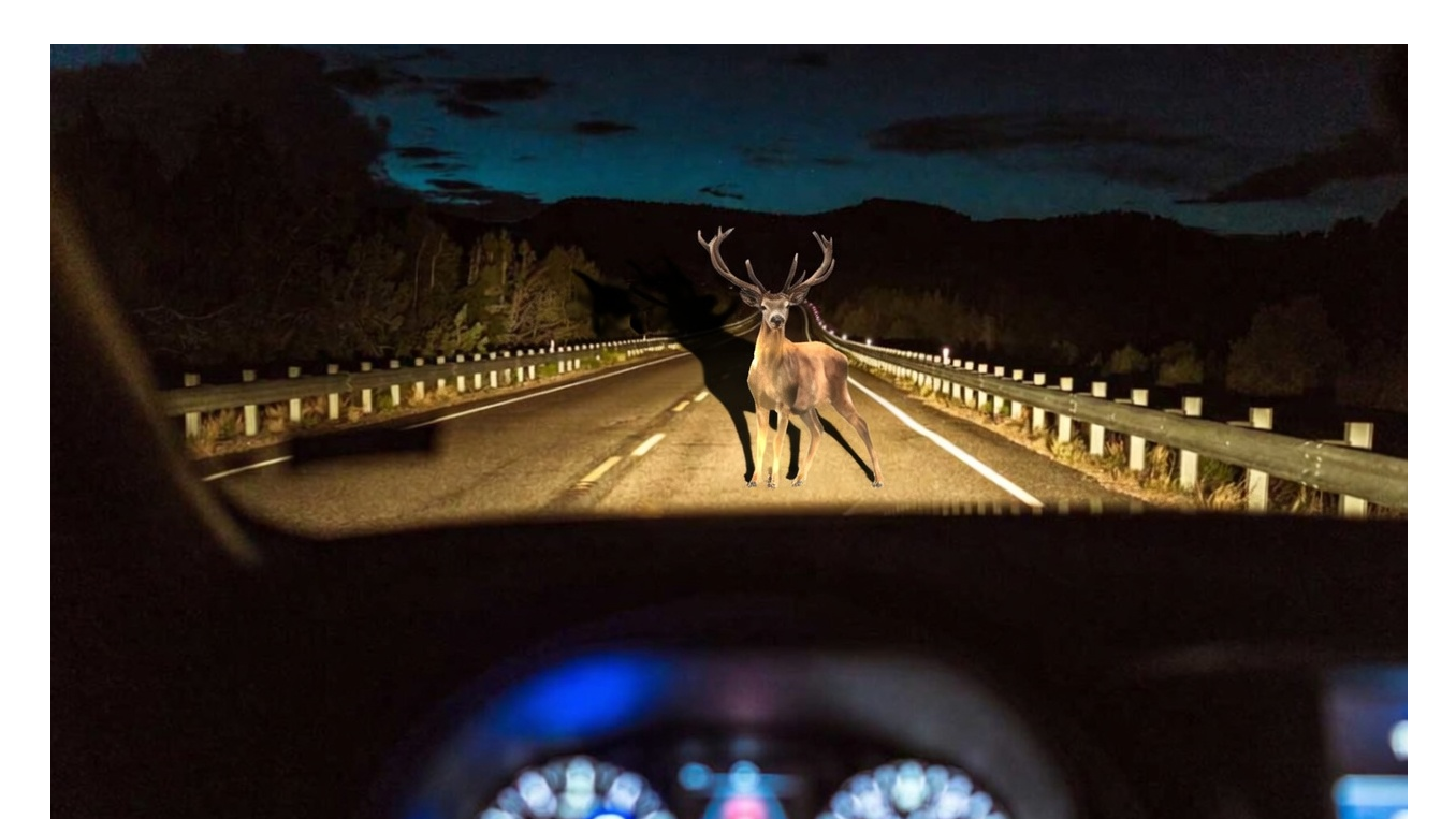 Bump shaped like a deerのバナー