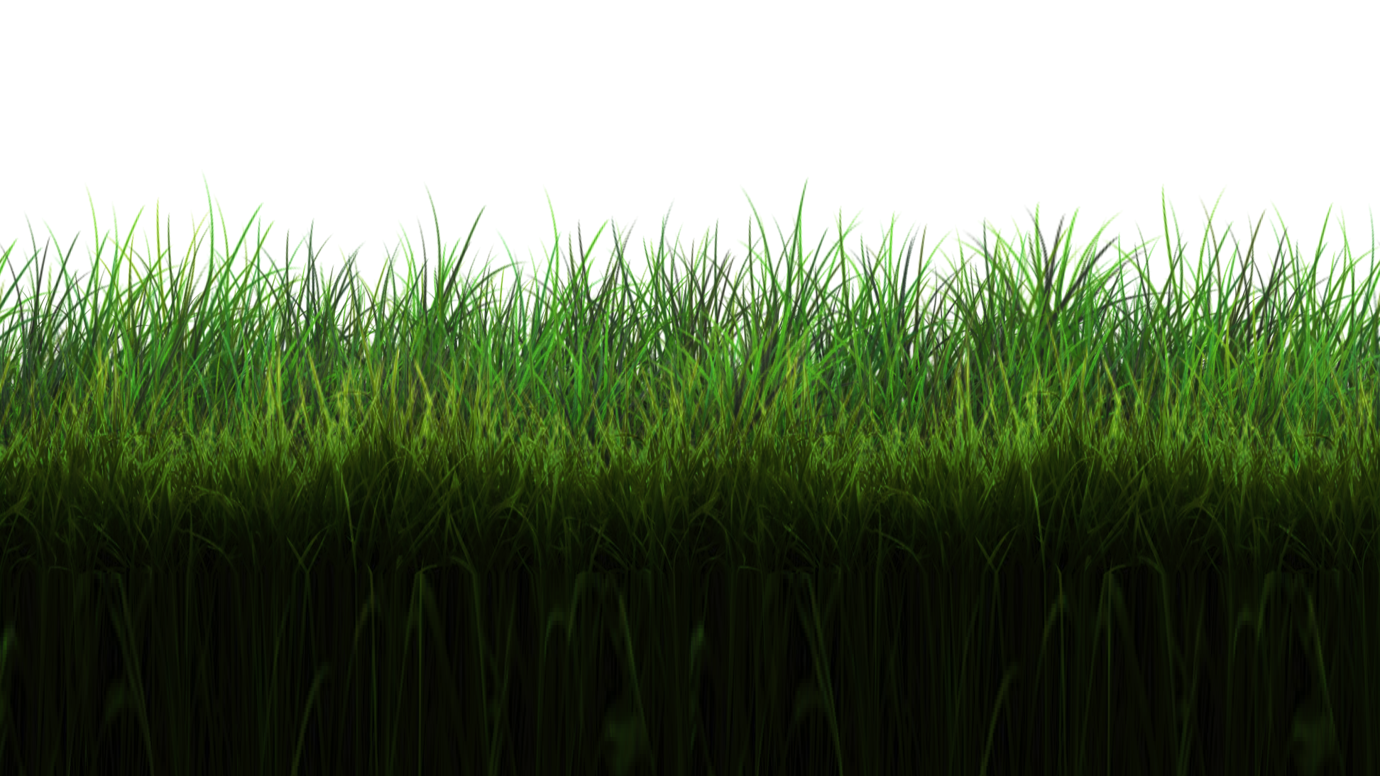 Untouched Grass