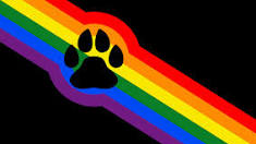 Furries and LGBTQIA and allies onlyのバナー