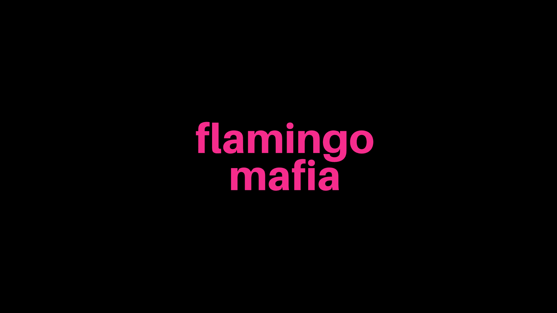 The Flamingo Mafiaのバナー