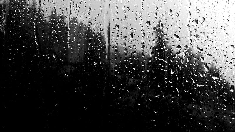 SilentInTheRain