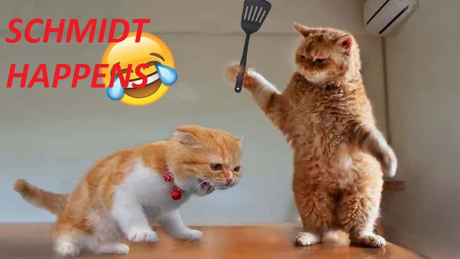 schのバナー