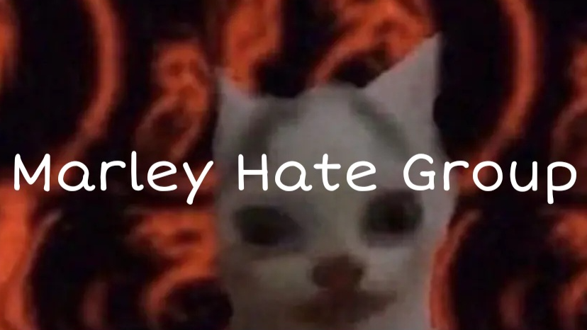 Marley hate groupのバナー