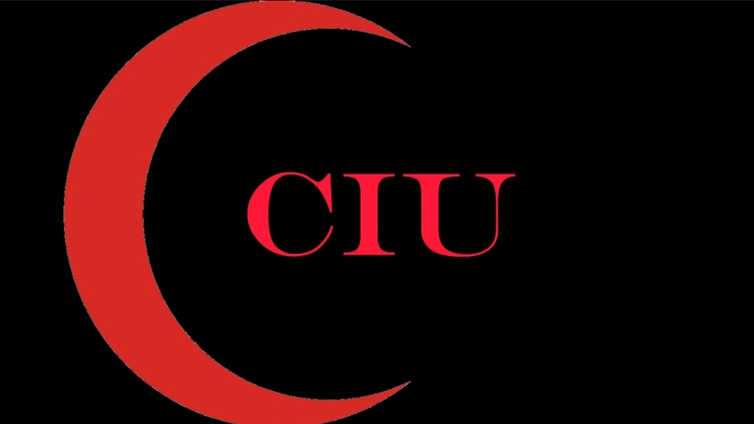 Crimson Information Unit