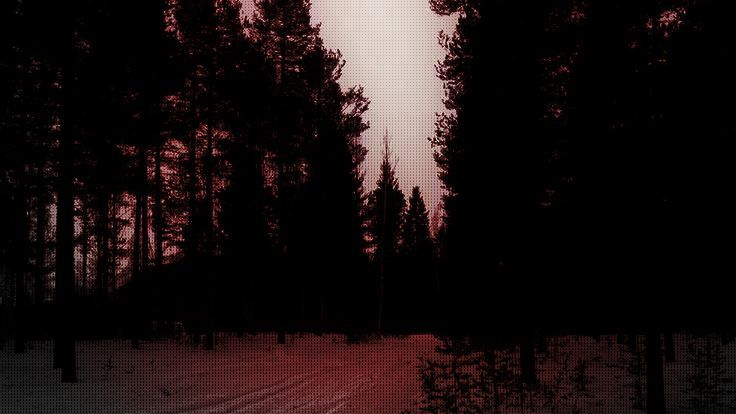 Hidden forestのバナー