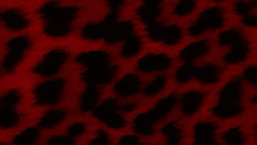 LeopardPRNTのバナー