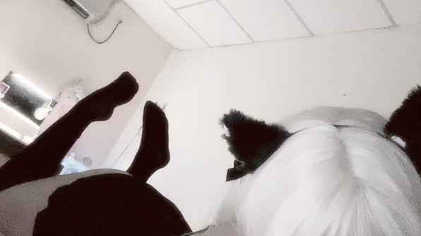 pawsのバナー