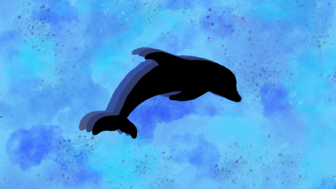 Dolphins