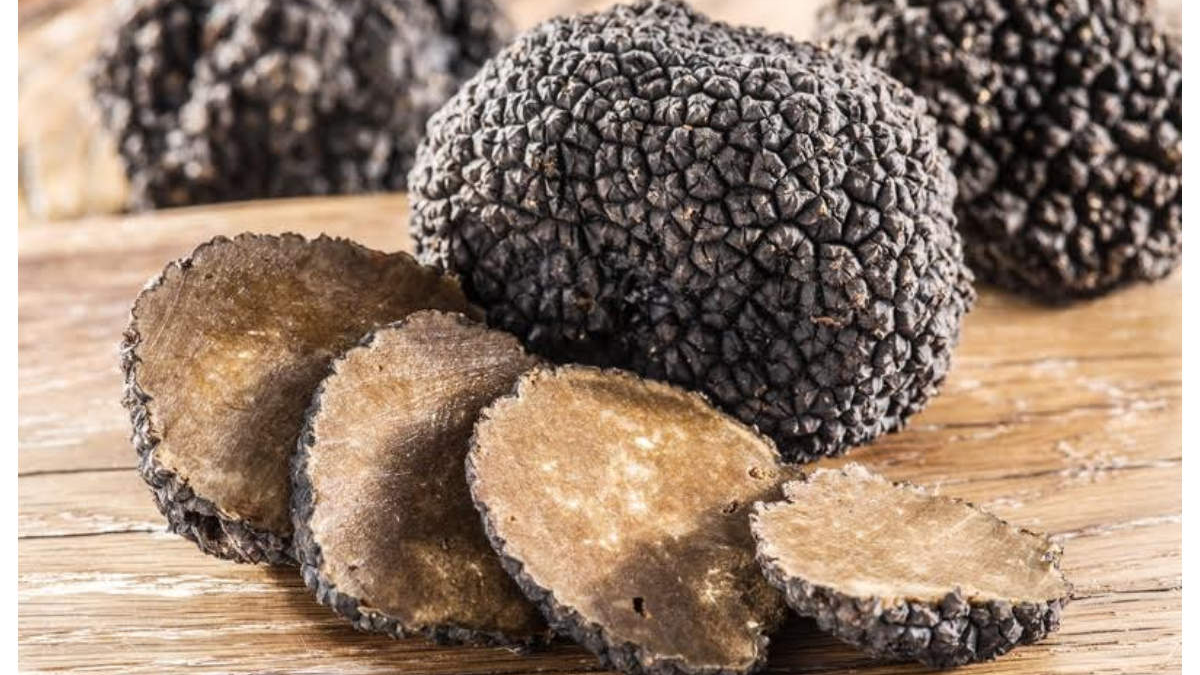 Truffle Sluts