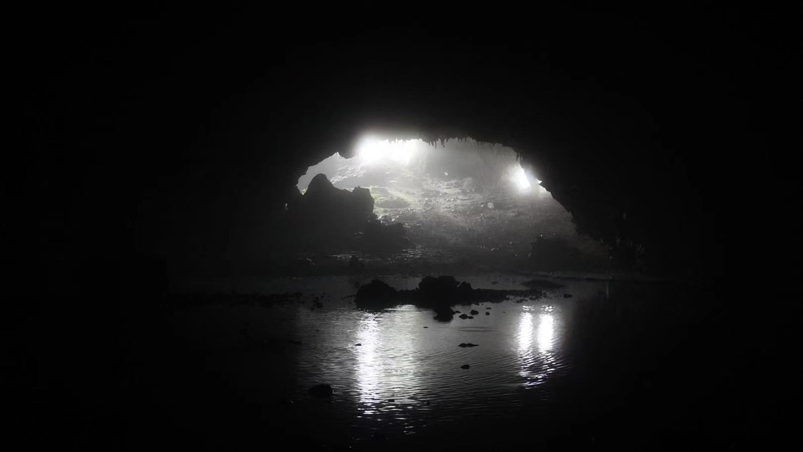 Arii's Night Caveのバナー