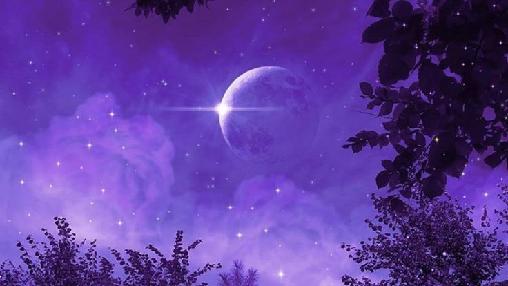 Nightcare
