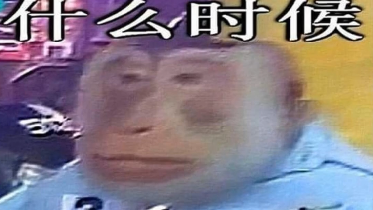 aaaa