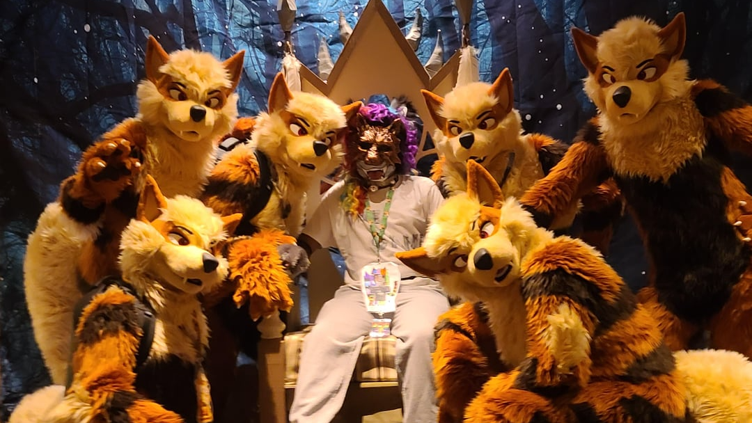 The Furry Gangのバナー