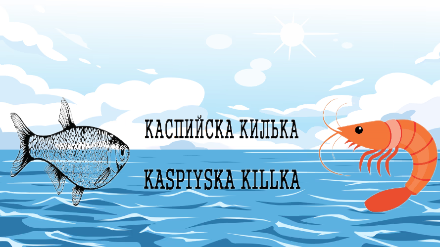 Килька каспийскаのバナー