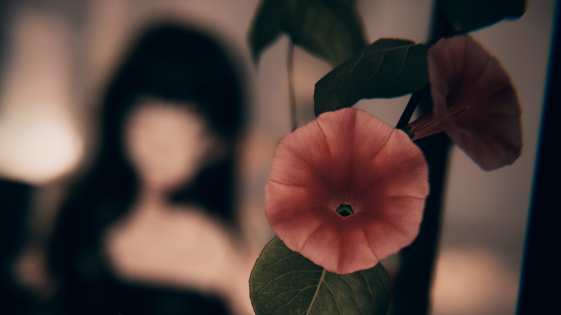Photographic Societyのバナー