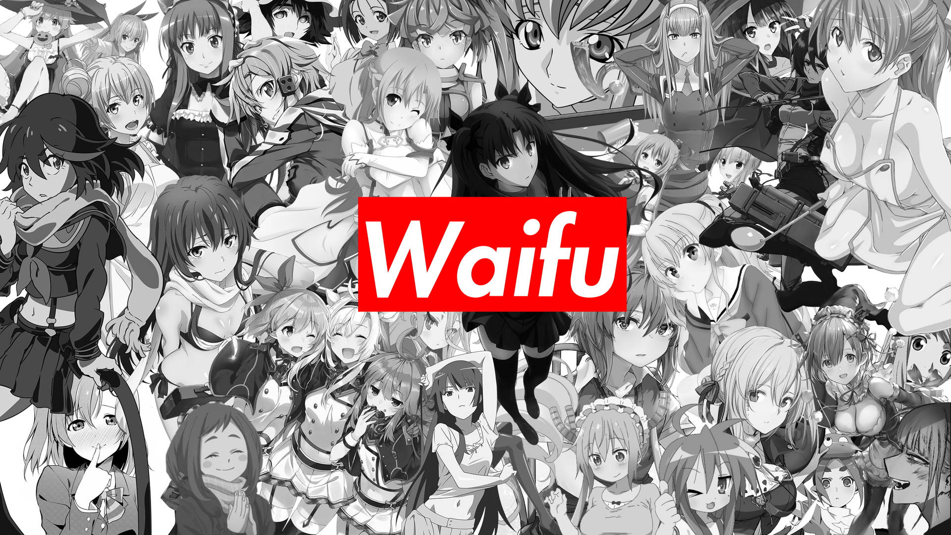 The Waifus