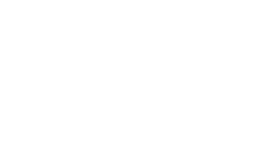 Thunk Nation