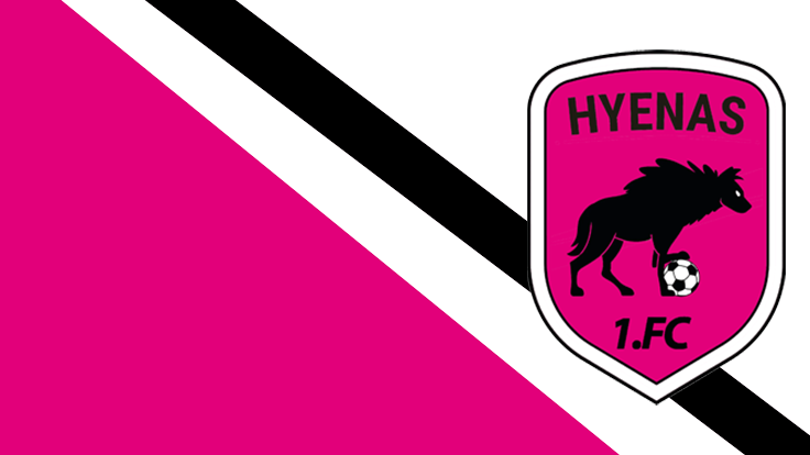 1 FC Hyenasのバナー