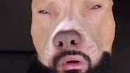 light skin stoned dogのバナー