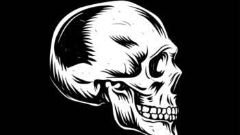 The Skeleton kingdomのバナー