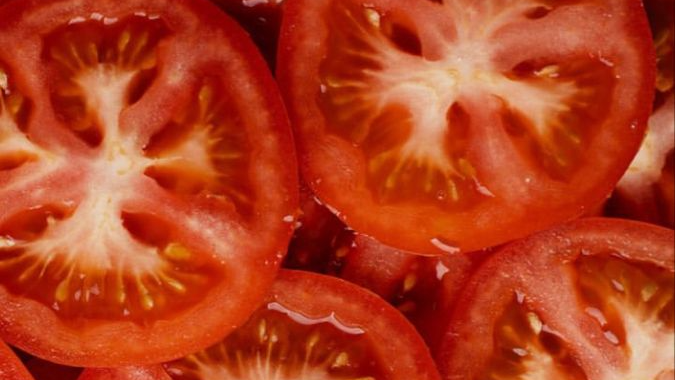 Get a tomato thrown at uのバナー