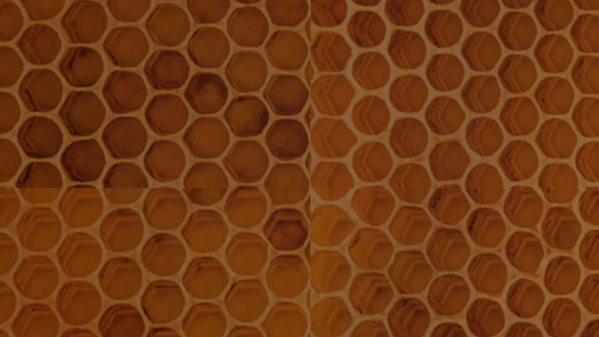 THE BEE COLONYのバナー