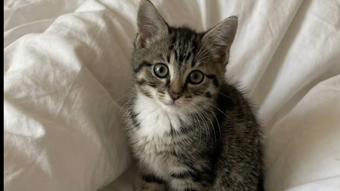 Soft And Little