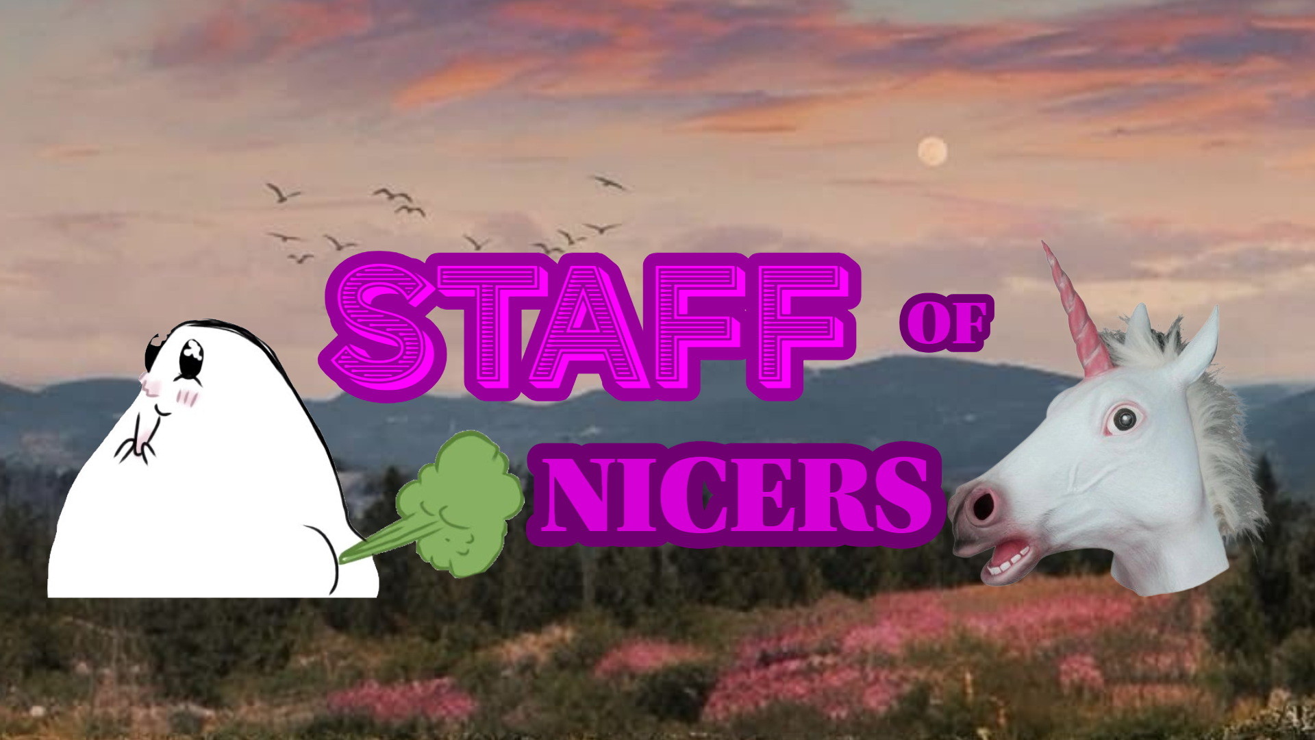 NICERS STAFF