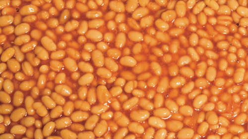 Bean Boys