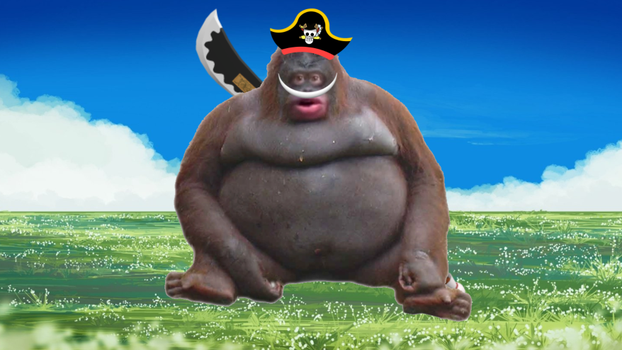 The Monkey Piratesのバナー