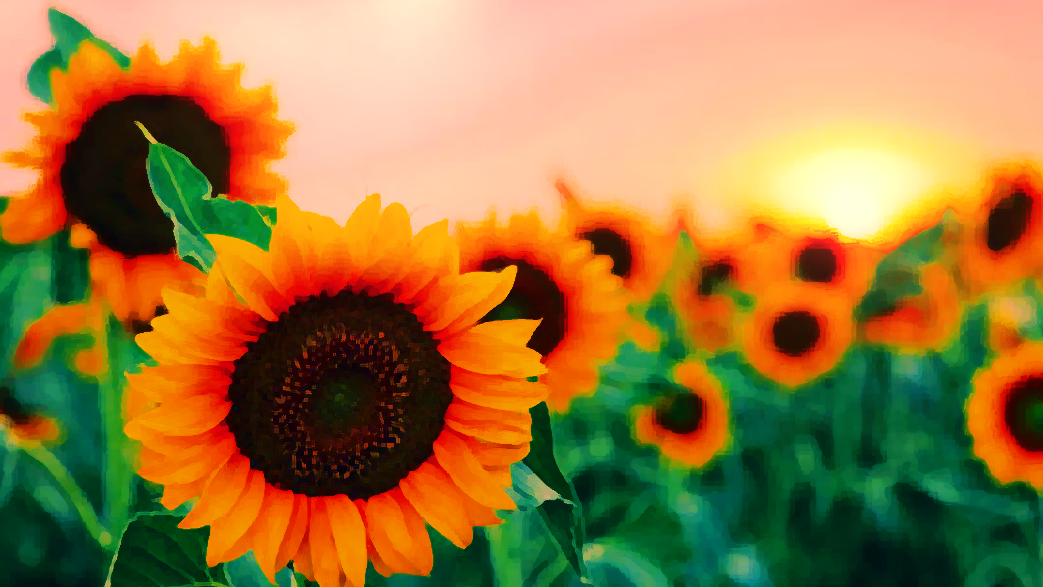 The Sunflower Familyのバナー