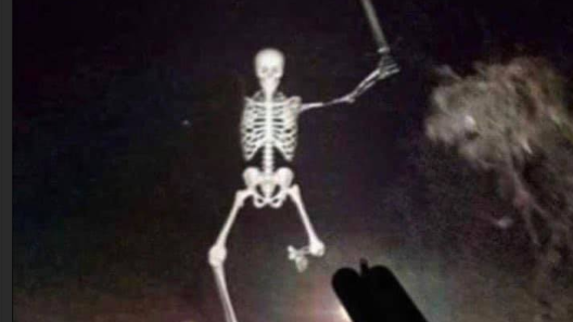 forklift cert skeletons