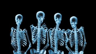 Skeleton Crewのバナー