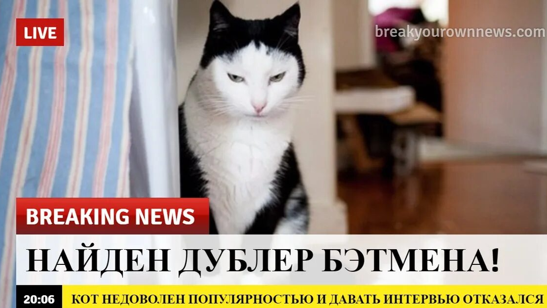 Команда Овощей